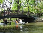 Мост с замочками от новобрачных пар