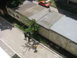20130627-013 - недопиленное прошлогоднее дерево