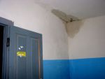 IMG-1742 -промокли потолок и стены подъезда