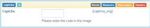 28 field captcha en